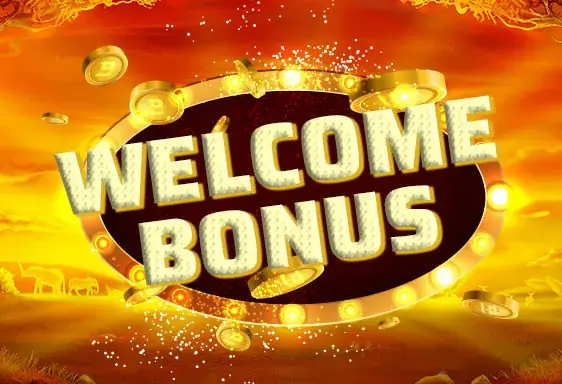 Ilucki new player bonus